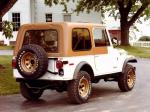 Jeep CJ-7 Golden Eagle 1979 года
